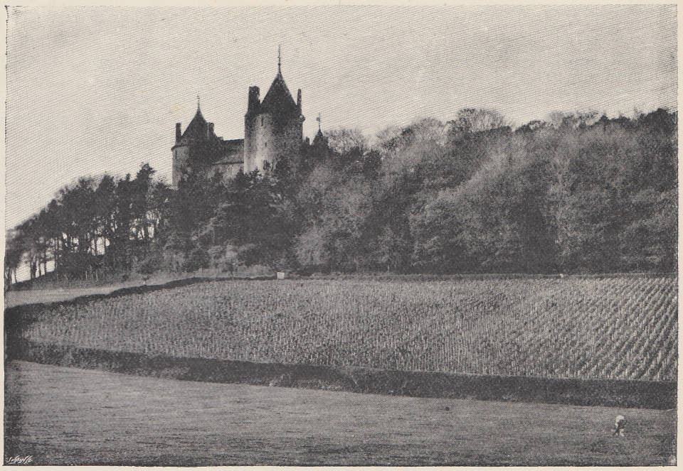 Black and white photo of Castell Coch and vineyard